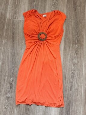 Vintage cache dress